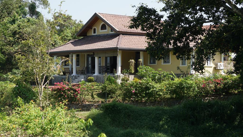 Villa Tee Four Digana Extérieur photo